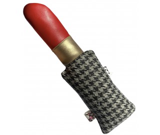 Stylish Lipstick