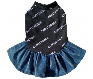 Barklenciaga dress