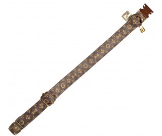 Woofton Collar (brown)