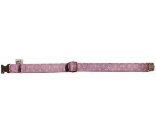 Pink and Sniffany Blue dog collar