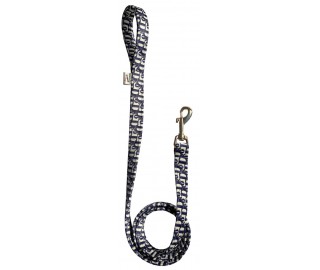 Dogior dog Leash