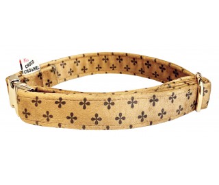 Woofton-Clover collar