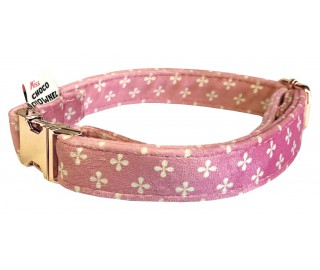 Woofton-Clover collar