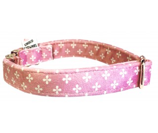 Woofton-Clover collar