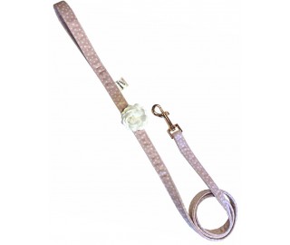 Miss Coco Polka dot dog leash