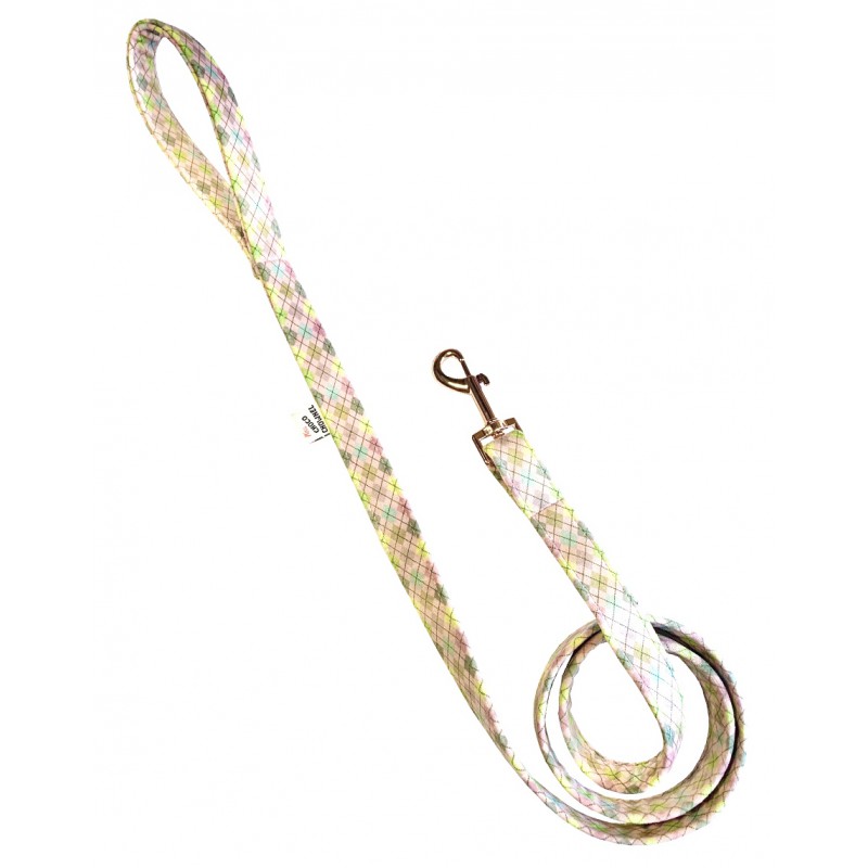 Pinklington leash