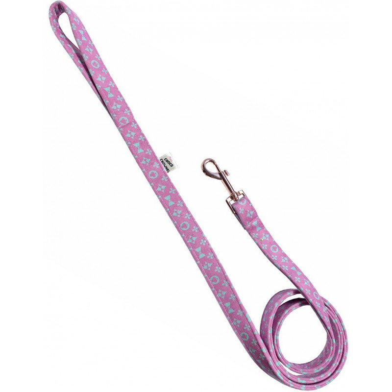 Pink and Sniffany Blue dog leash