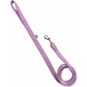 Pink and Sniffany Blue dog leash