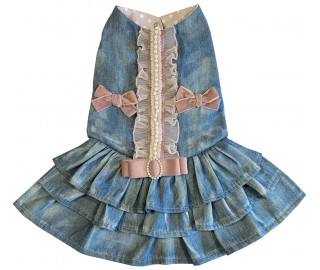 Denim Princess dress