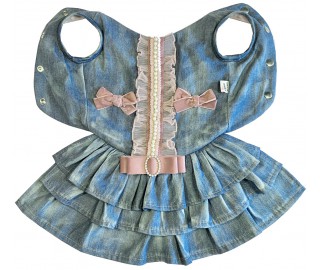 Denim Princess dress