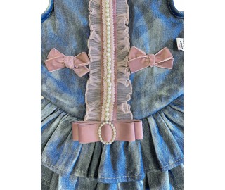 Denim Princess dress