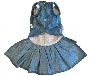 Denim Princess dress