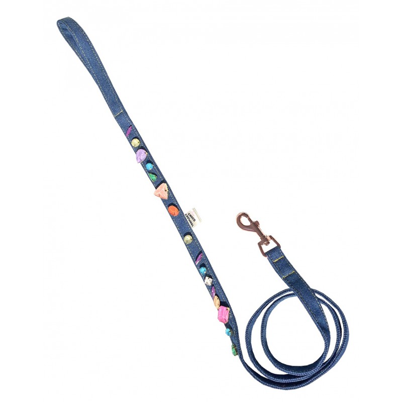 Rainbow Jelly Crystal dog leash