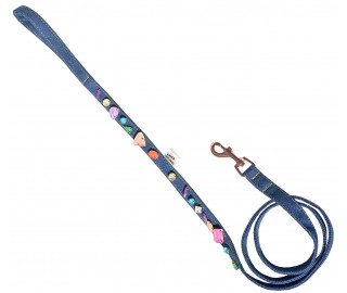 Rainbow Jelly Crystal dog leash