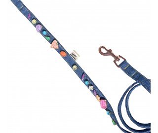 Rainbow Jelly Crystal dog leash