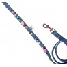 Rainbow Jelly Crystal dog leash