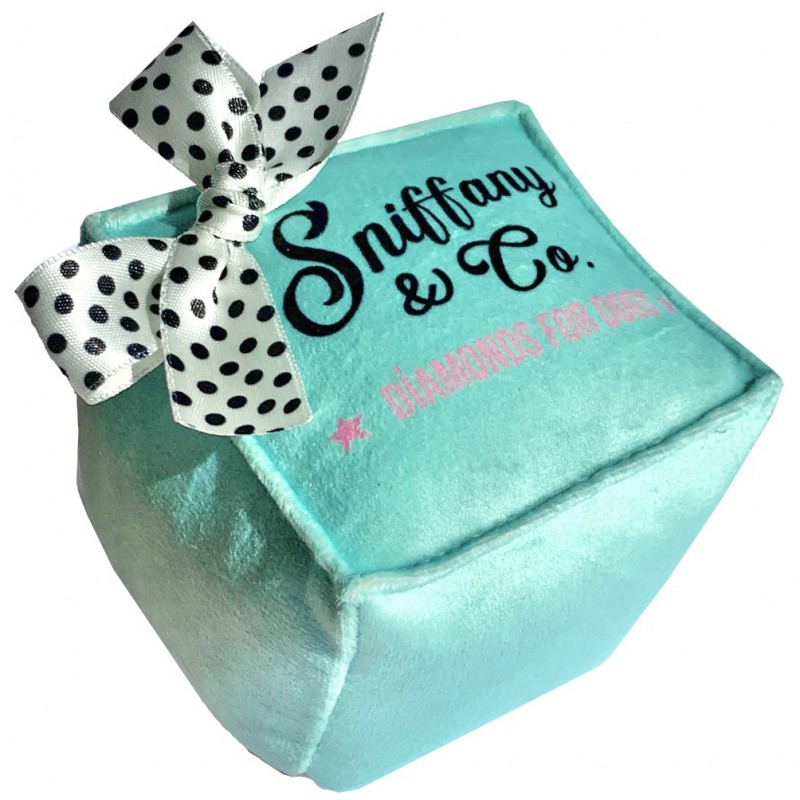 Sniffany box with dotty bow